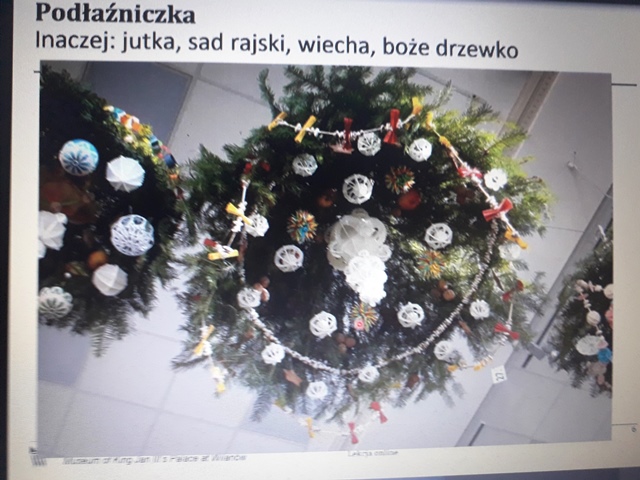 Slajd ze zdjęciem podłaźniczki inaczej zwanej jutka, sad rajski, wiecha, boże drzewko