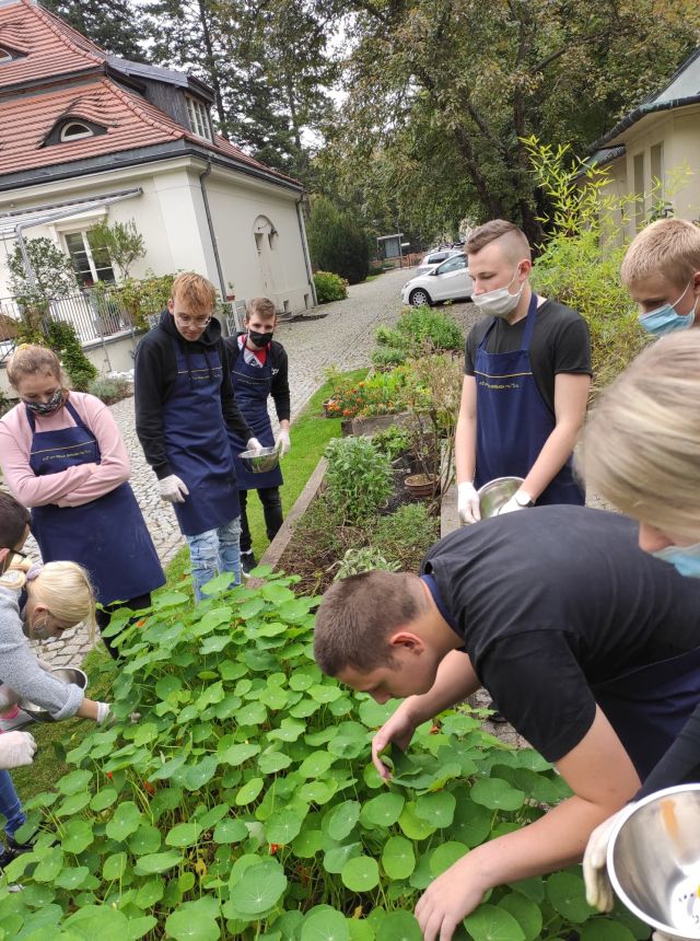 uczniowie zbierający kwiaty jadalne