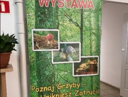 IMG_2330.jpg