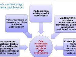 opis.jpg