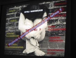 13a.JPG